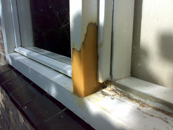 Houtrot reparatie met Repair Care